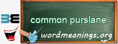 WordMeaning blackboard for common purslane